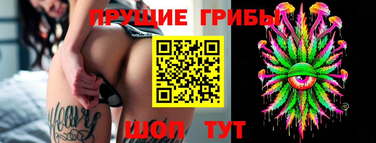 Псилоцибиновые грибы ЛСД  Галлюциногенные грибы Psilocybe  Мурино  магазин  наркотиков  Вход с VPN 
